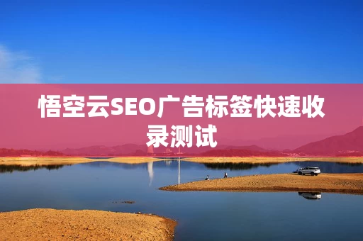 悟空云SEO广告标签快速收录测试